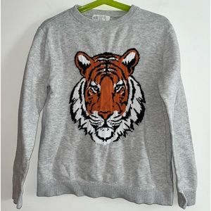 Boys Tiger sweater
